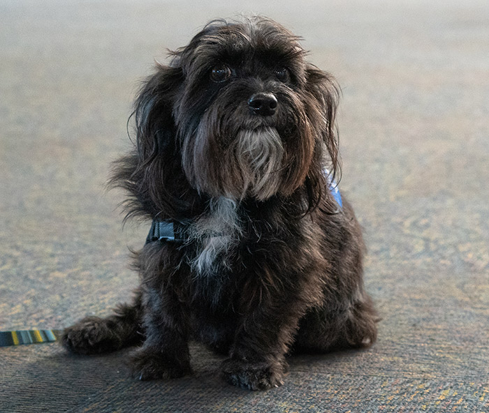 Portrait or event photo “JackBB,” summer 2024 at BDL.
